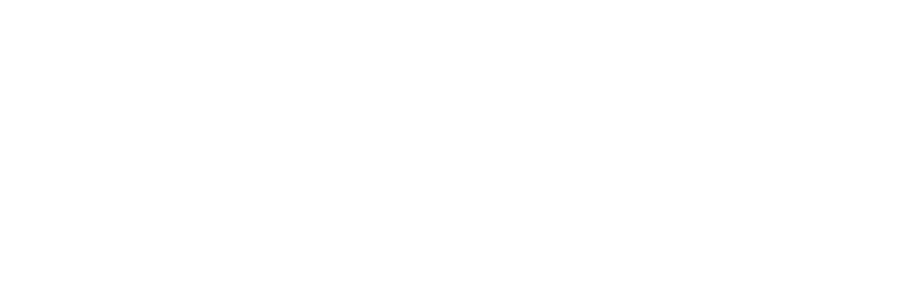 東北大学大学院情報科学研究科・教授・大関真之 公式WEBサイト
